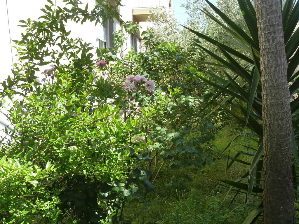 Apartment Marina Zadar Ngoại thất bức ảnh